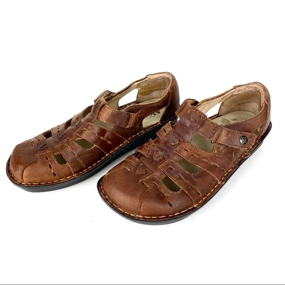 Amazon.com | Ipanema Women's Sunray T-Strap Sandals | Sandals